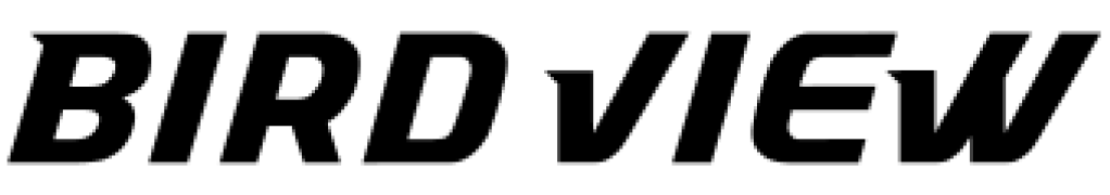 birdview logo